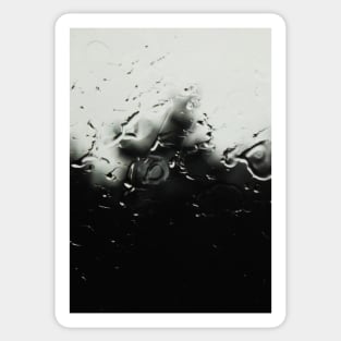 Rain Sticker